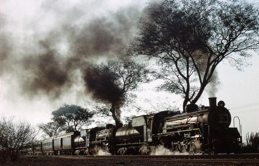South African class 19D 4-8-2 steam locomotives run past late evening near Groenbult, South Africa