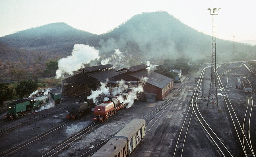 Thomson Junction locomotive shed with 'Garrat' steam locomotives, Zimbabwe