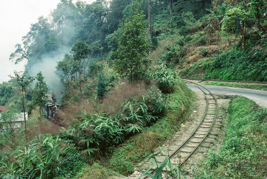 Darjeeling Himalayan Railway narrow gauge steam locomotive, class B 0-4-0ST no. 805 reverses to replace the engine on a passenger train traversing a zig-zag while heading up the mountain to Darjeeling, India,