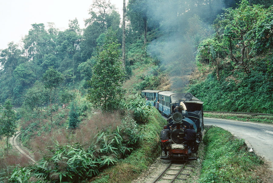 Darjeeling Himalayan Railway narrow gauge steam locomotive, class B 0-4-0ST no. 805 reverses to replace the engine on a passenger train traversing a zig-zag while heading up the mountain to Darjeeling, India,