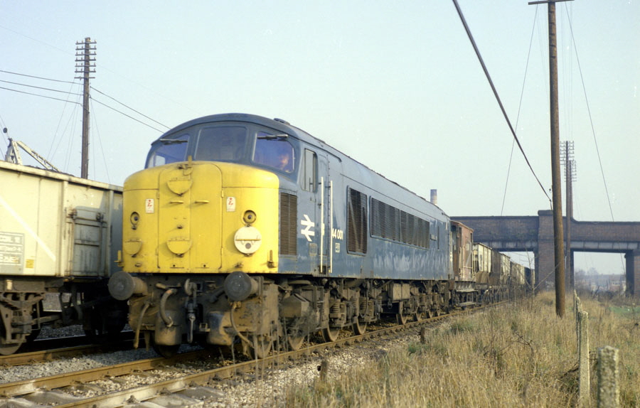 "Peak" diesel on freight train, Leicester
