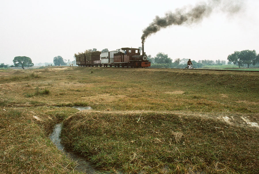2 feet 6 inches gauge, steam locomotive, 0-6-0 no. 52, built by Hudswell Clarke in 1922, at Saraya Sugar Mills, India, 28th December 1993