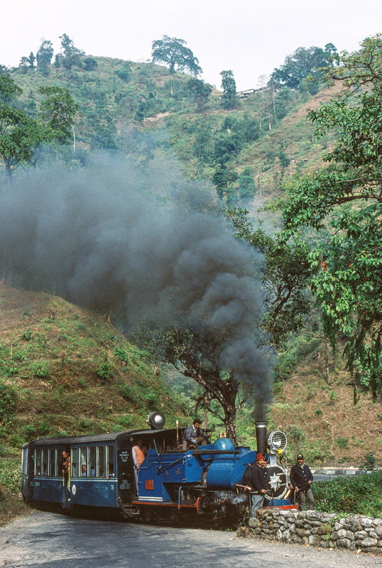 Darjeeling Himalayan Railway narrow gauge steam locomotive, class B 0-4-0ST no. 795 heading up the mountain to Darjeeling with a passenger train, India,