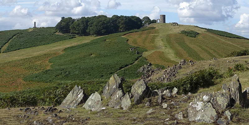 Bradgate Park, Leicestershire, Panorama photograph with Old John